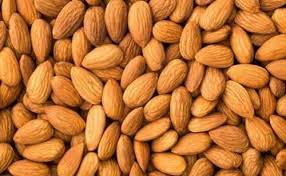 Divine Bija Almond Divine Bija India Pvt Ltd | A story of motivation, passion and unconditional commitment