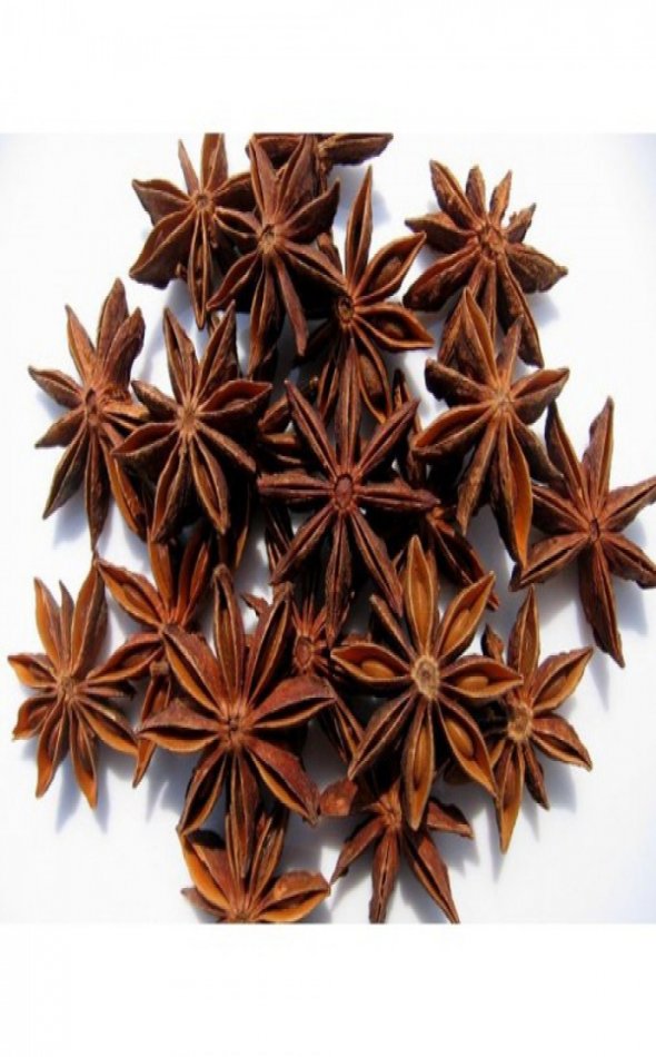 Divine Bija Star Anise Annachi Flower Divine Bija India Pvt Ltd | A story of motivation, passion and unconditional commitment
