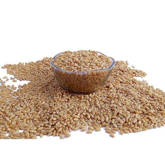 Divine Bija Wheat Sun | Ravi Divine Bija India Pvt Ltd | A story of motivation, passion and unconditional commitment