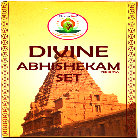 Divine Bija Abhisheka kit | Pradosham | Sashti | Chaturthi Divine Bija Global (Vedic Way) | A story of motivation, passion and unconditional commitment