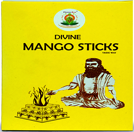 Divine Bija Mango Sticks for Havan Divine Bija Global (Vedic Way) | A story of motivation, passion and unconditional commitment