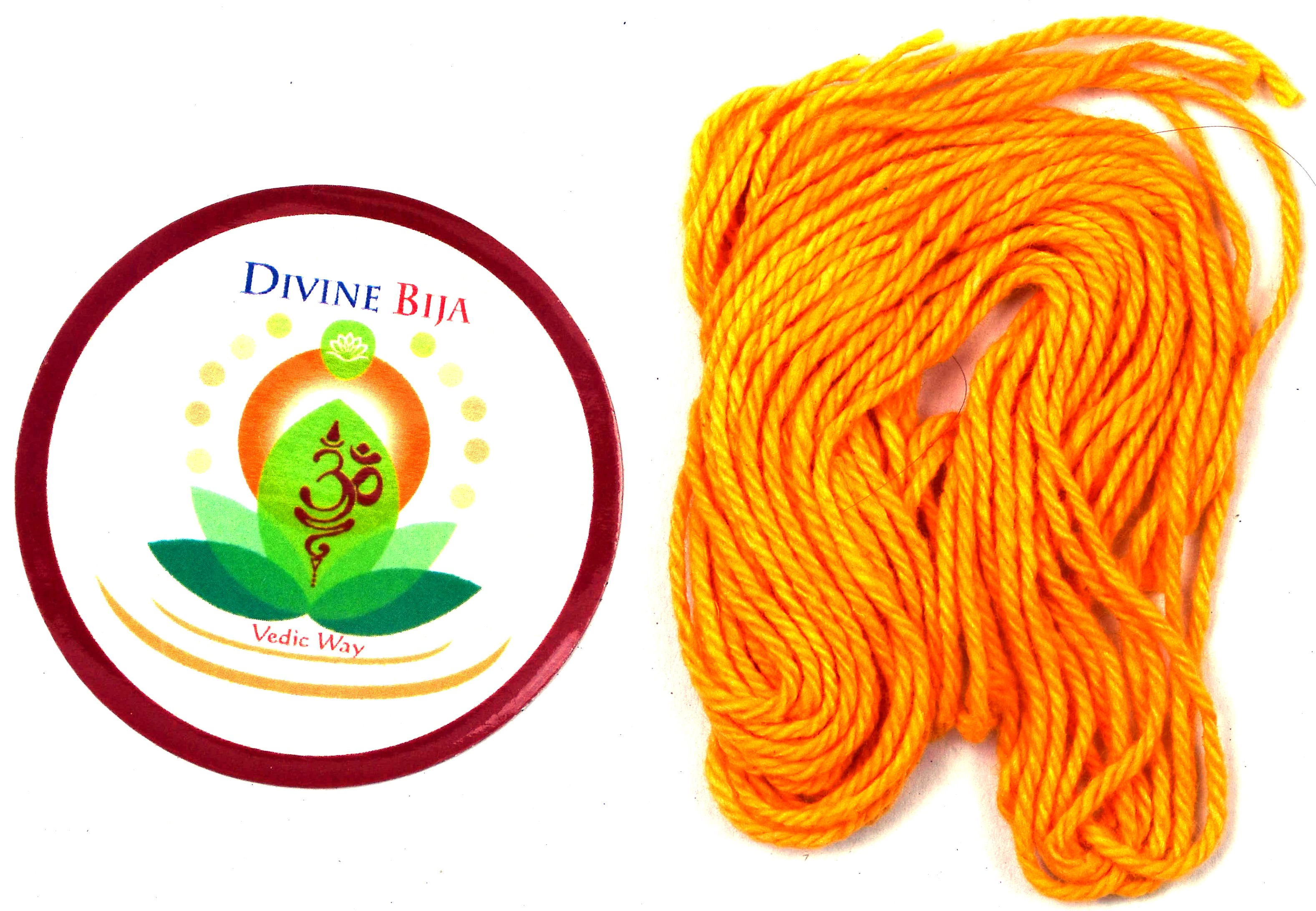 Divine Bija Nonbu Saradu Sacred Thread Divine Bija Global (Vedic Way) | A story of motivation, passion and unconditional commitment