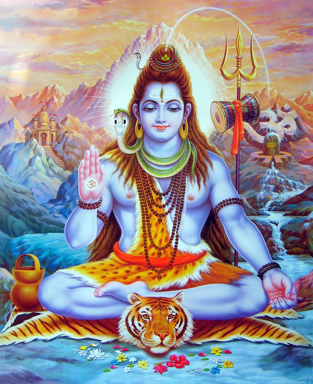Divine Bija Pradosham Pooja Kit Divine Bija Global (Vedic Way) | A story of motivation, passion and unconditional commitment