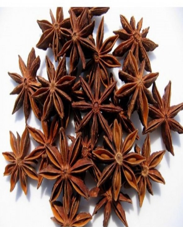 Divine Bija Star Anise Annachi Flower Divine Bija Global (Vedic Way) | A story of motivation, passion and unconditional commitment