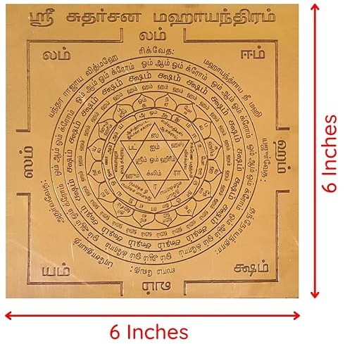 Divine Bija Sudarshana Yantra Divine Bija Global (Vedic Way) | A story of motivation, passion and unconditional commitment