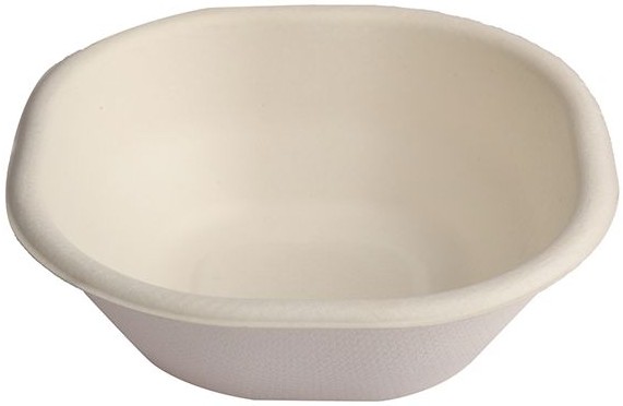 Divine Bija Sugarcane Cup Bowl Divine Bija Global (Vedic Way) | A story of motivation, passion and unconditional commitment