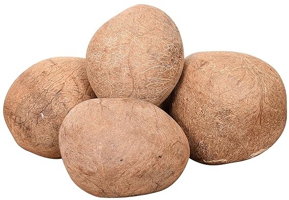 Divine Bija Dry Coconut Divine Bija Global (Vedic Way) | A story of motivation, passion and unconditional commitment