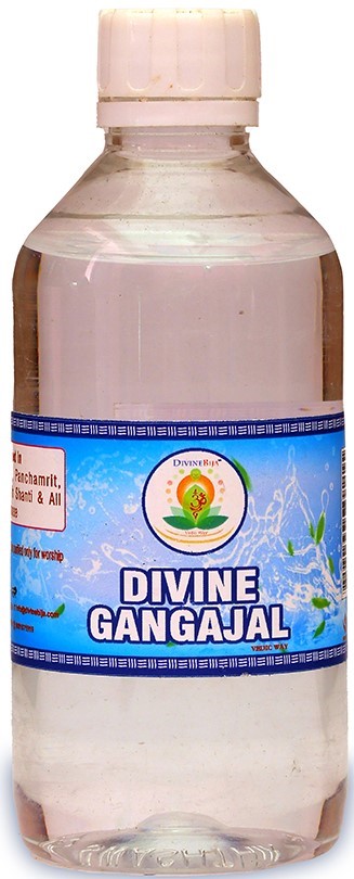 Divine Bija Gangotri | Gangajal Divine Bija Global (Vedic Way) | A story of motivation, passion and unconditional commitment