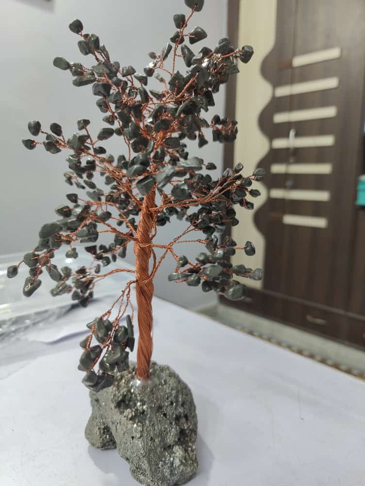 Divine Bija Green Jade Wealth Tree Divine Bija Global (Vedic Way) | A story of motivation, passion and unconditional commitment